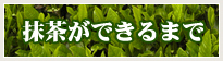 抹茶ができるまで